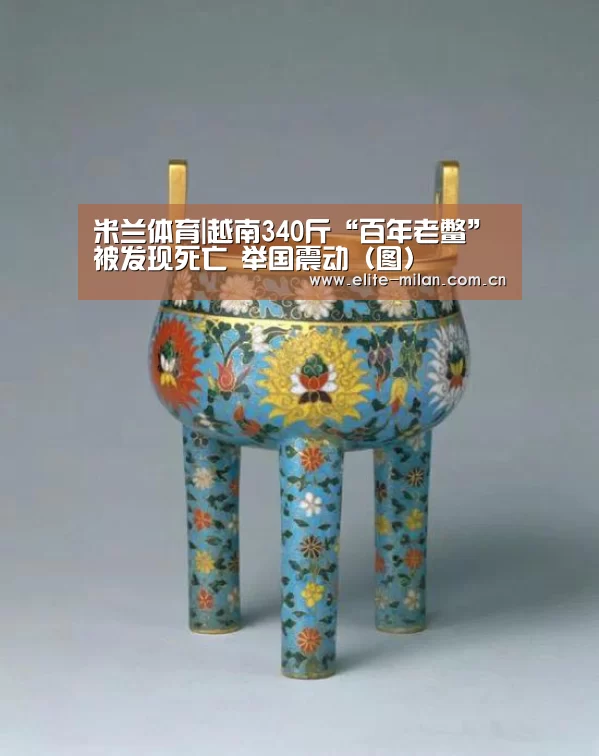 米兰体育|越南340斤“百年老鳖”被发现死亡 举国震动(图)(图1) APP下载