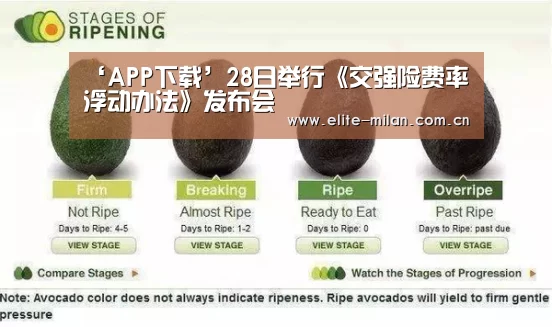 ‘APP下载’28日举行《交强险费率浮动办法》发布会(图2) ‘APP下载’28日举行《交强险费率浮动办法》发布会(图2)