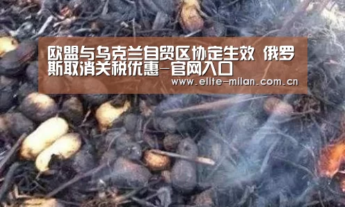 欧盟与乌克兰自贸区协定生效 俄罗斯取消关税优惠-官网入口(图2) 官网入口
