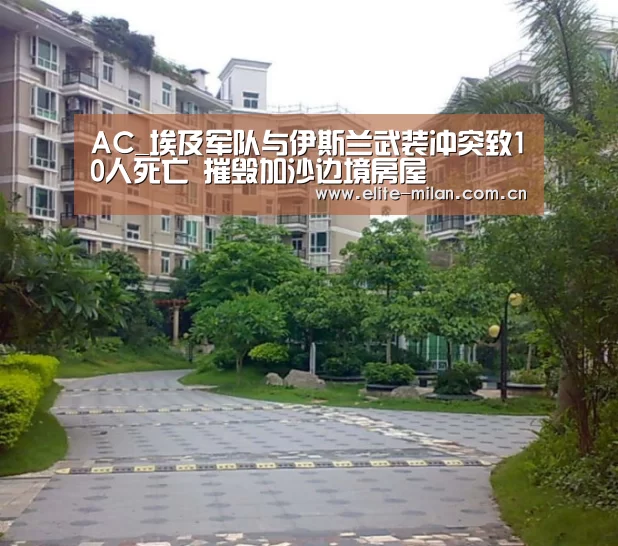 AC_埃及军队与伊斯兰武装冲突致10人死亡 摧毁加沙边境房屋(图3) 官网入口