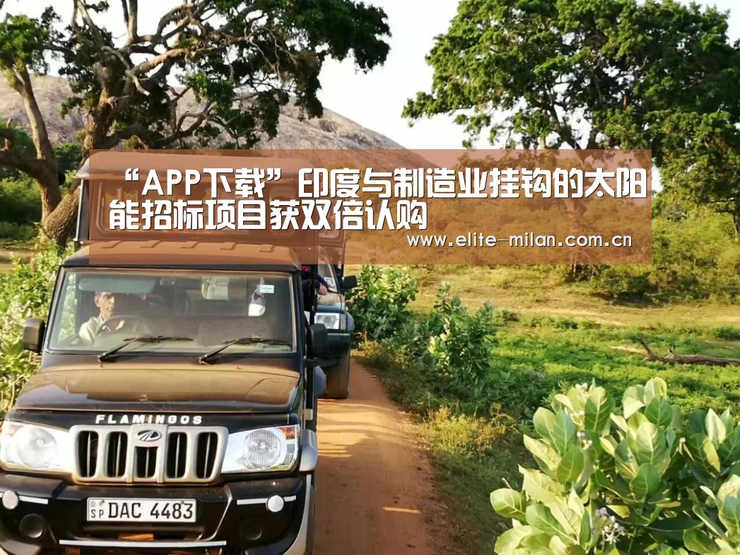 APP下载